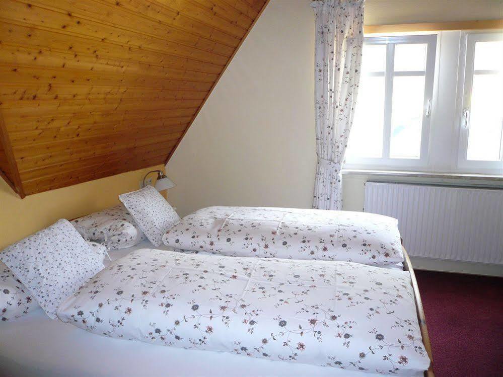 Mosel-Landhaus Am Moselufer B&B Briedern Εξωτερικό φωτογραφία